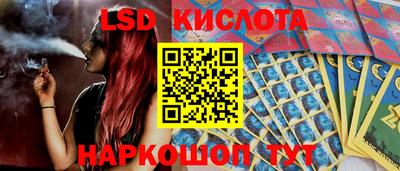 гашик Бердск