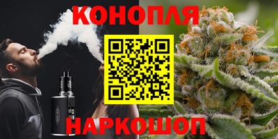 гашик Бердск