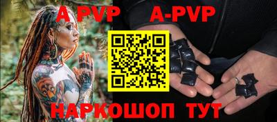 гашик Бердск